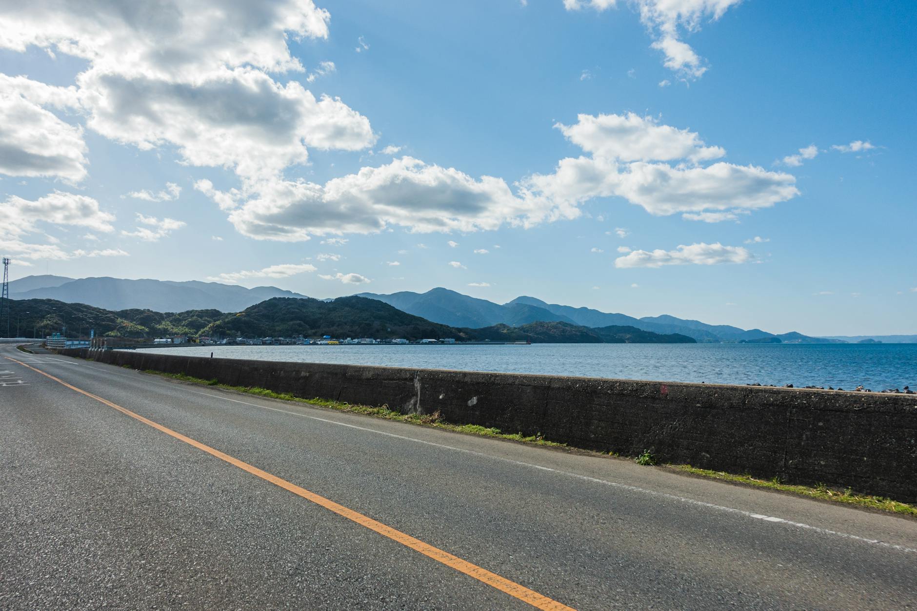 夏の道