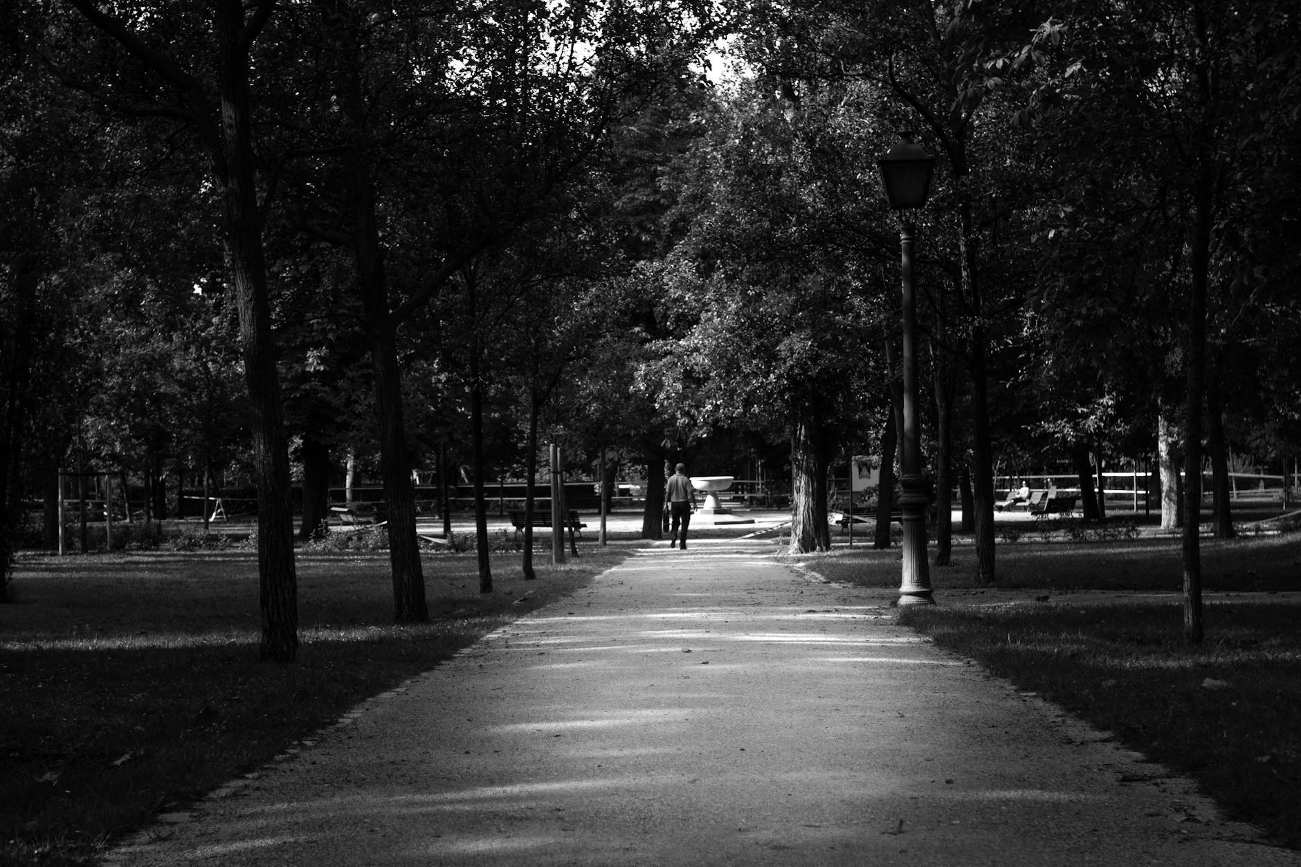 緑豊かな公園