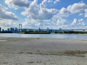 能古島の海と花畑